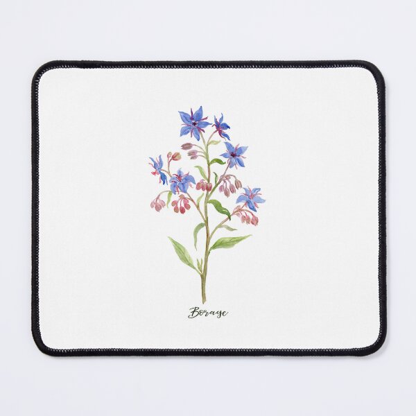 Item preview, Watercolour herb borage in blue flowers designed and sold by cornercroft.