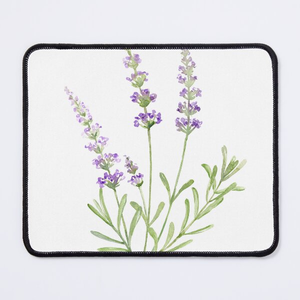 Item preview, Watercolor illustration of lavender with purple flowers designed and sold by cornercroft.