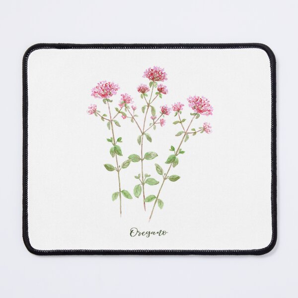 Item preview, Botanical illustration of herb Oregano  designed and sold by cornercroft.