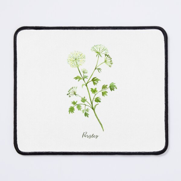 Item preview, Watercolor herb parsley in flowers designed and sold by cornercroft.