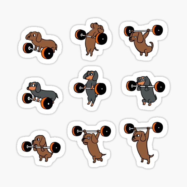 Lifting Dachshund Sticker