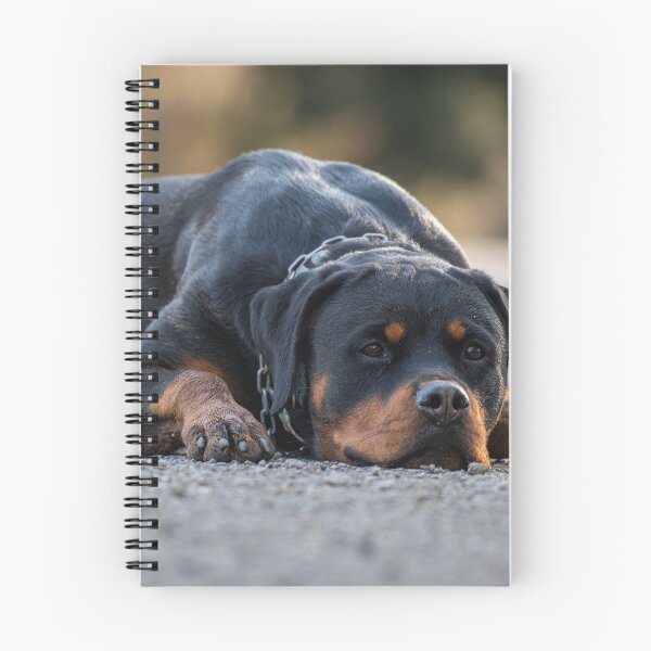 Item preview, Loyal Guardian - Rottweiler Portrait designed and sold by Barek532.