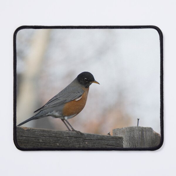 Item preview, On the fence designed and sold by Elliot L..