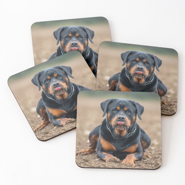 Item preview, Copy of Loyal Guardian - Rottweiler Portrait designed and sold by Barek532.