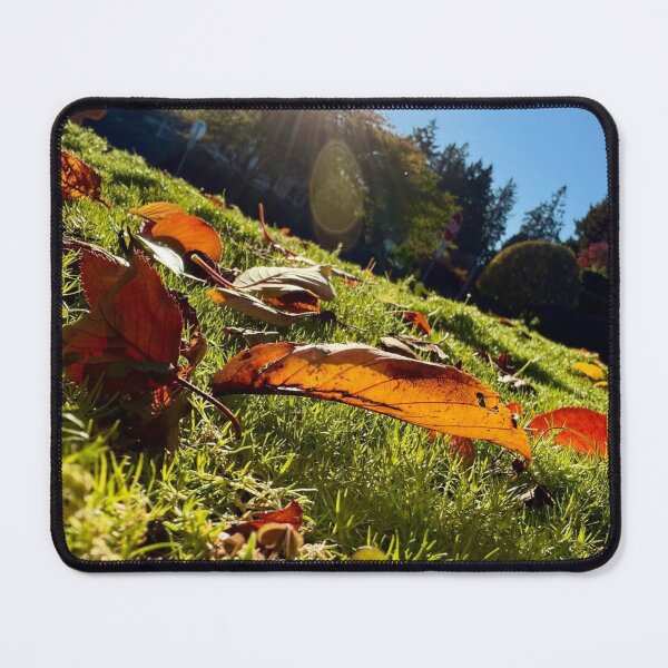 Item preview, Autumn Leaves on Sunlit Grass designed and sold by Jyosridingtrain.