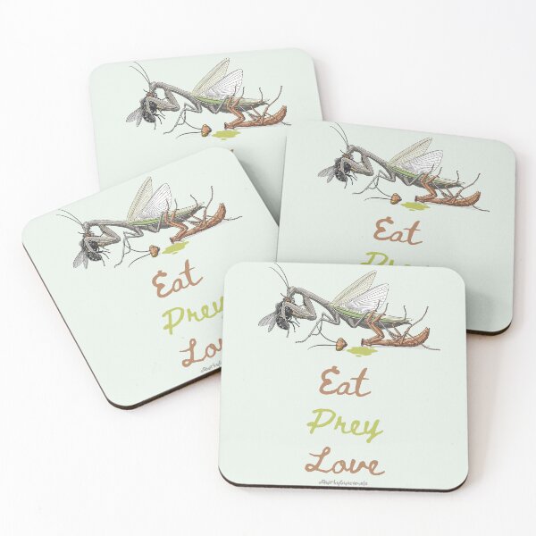 Item preview, Eat Prey Love | Praying Mantis with Housefly designed and sold by QuirkyGuacamole.