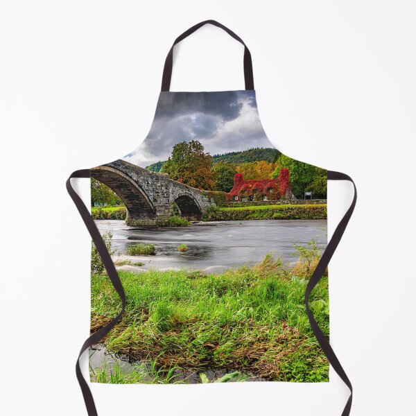 Item preview, Ivy Cottage and Bridge Llanrwst  designed and sold by AJEvans.