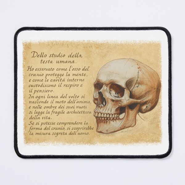 Aperçu de l'œuvre Notes de la Renaissance : Étude de la tête humaine créée et vendue par OOctopusStore.