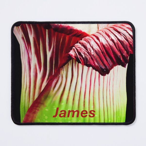 Item preview, Personalized Items for James designed and sold by kenkortner.