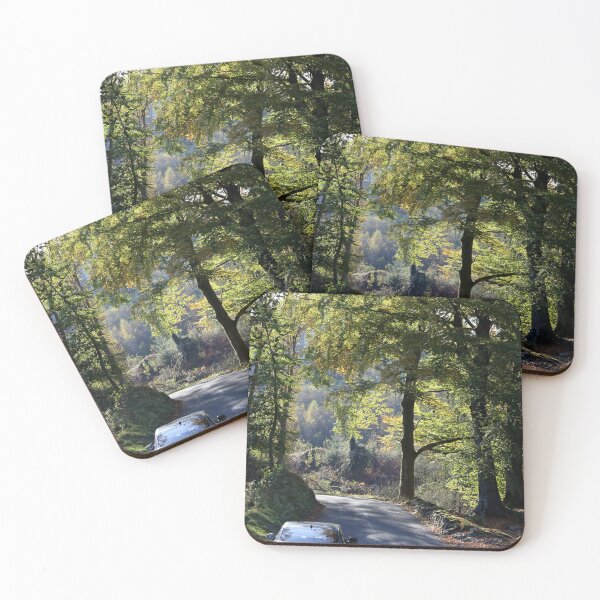 Item preview, Drive the Dream, Woodland in Autumn. designed and sold by prestongeorge.
