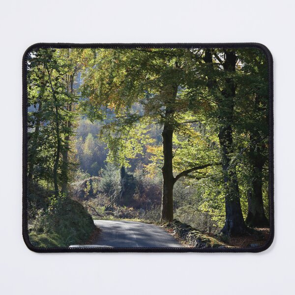 Item preview, Drive the Dream, Woodland in Autumn. designed and sold by prestongeorge.