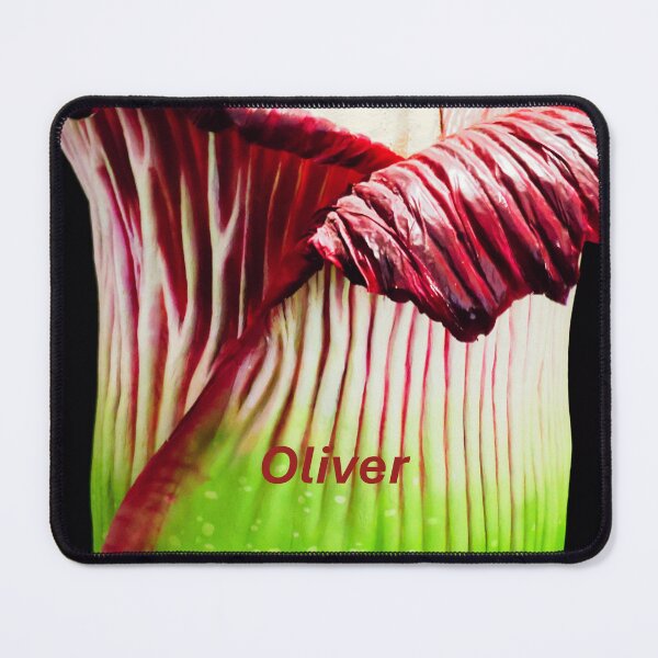 Item preview, Personalixed items for Oliver designed and sold by kenkortner.