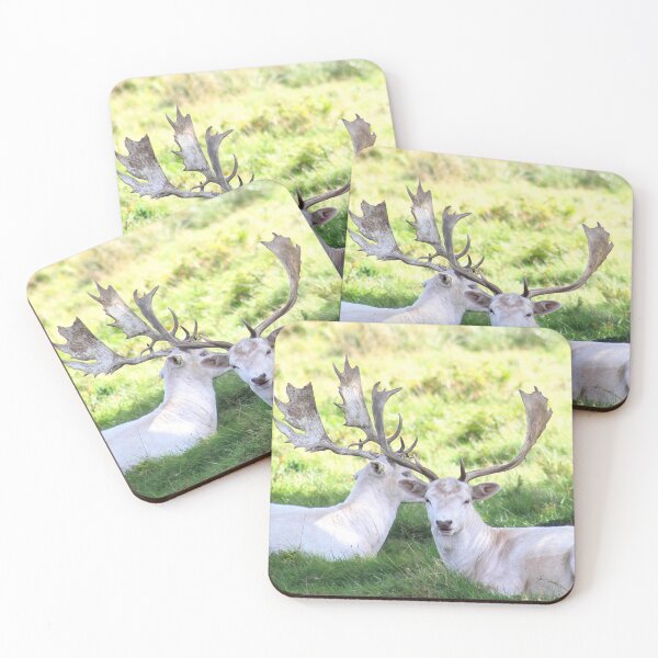 Item preview, White fallow deer designed and sold by missmoneypenny.