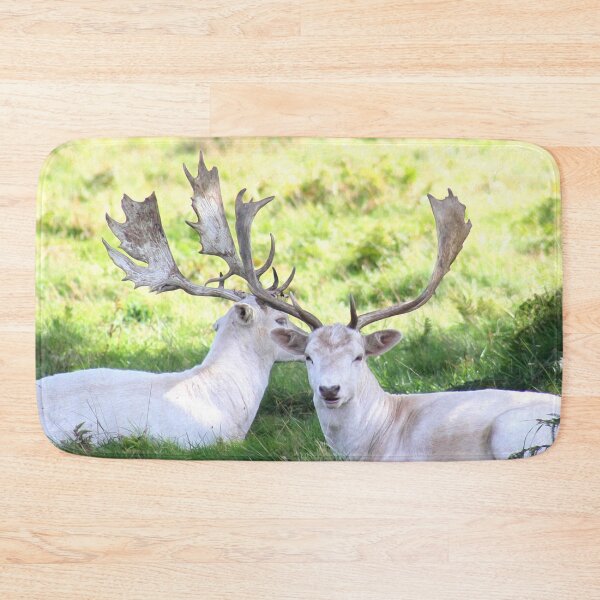 Item preview, White fallow deer designed and sold by missmoneypenny.