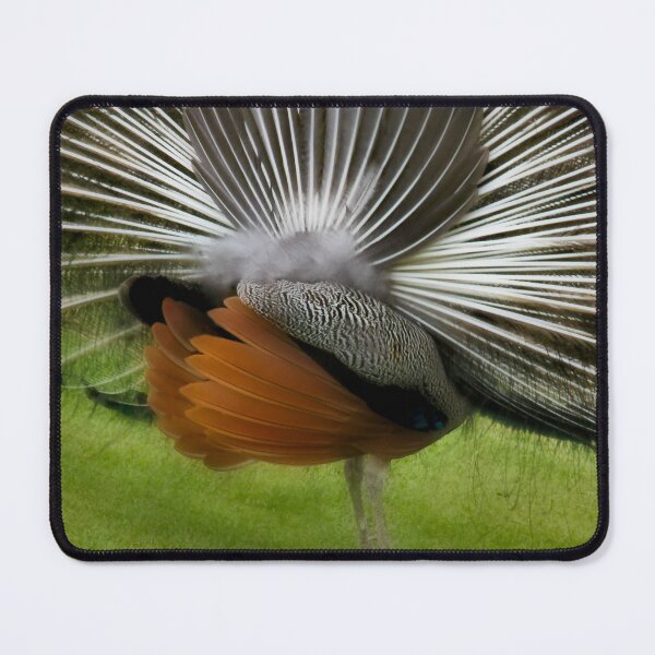 Item preview, Behind the display - thanksgiving designed and sold by missmoneypenny.