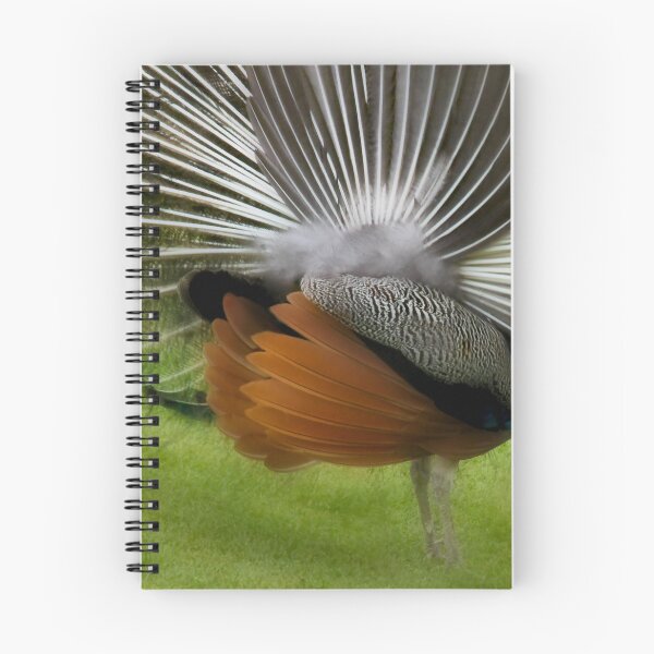 Item preview, Behind the display - thanksgiving designed and sold by missmoneypenny.