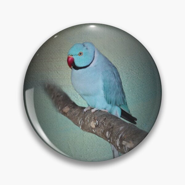 Item preview, Blue Indian ringneck parakeet designed and sold by missmoneypenny.