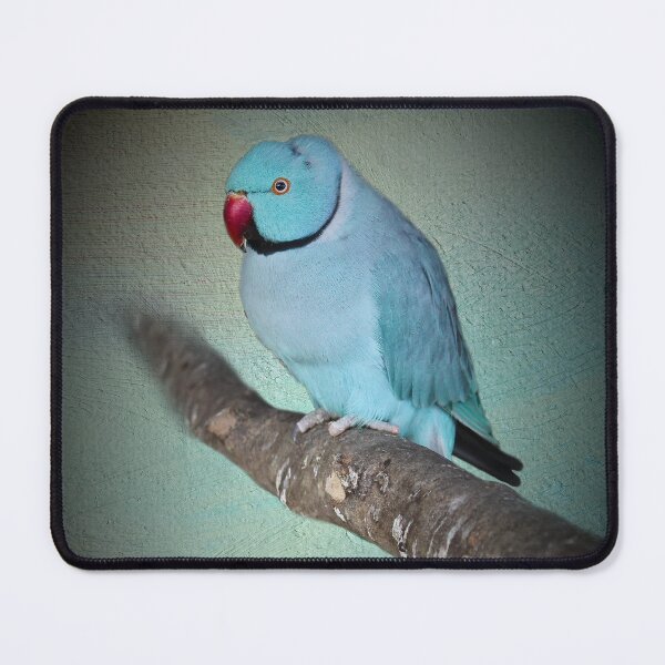 Item preview, Blue Indian ringneck parakeet designed and sold by missmoneypenny.