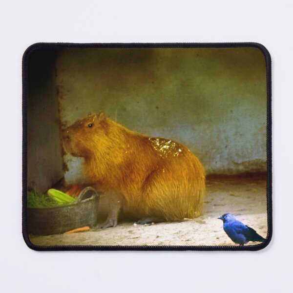 Item preview, I can see you - this is my dinner designed and sold by missmoneypenny.
