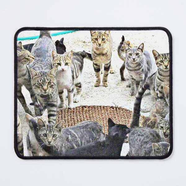 Item preview, Cats galore designed and sold by missmoneypenny.