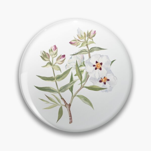 Item preview, Rockrose Watercolor Painting designed and sold by Flowersforbear.