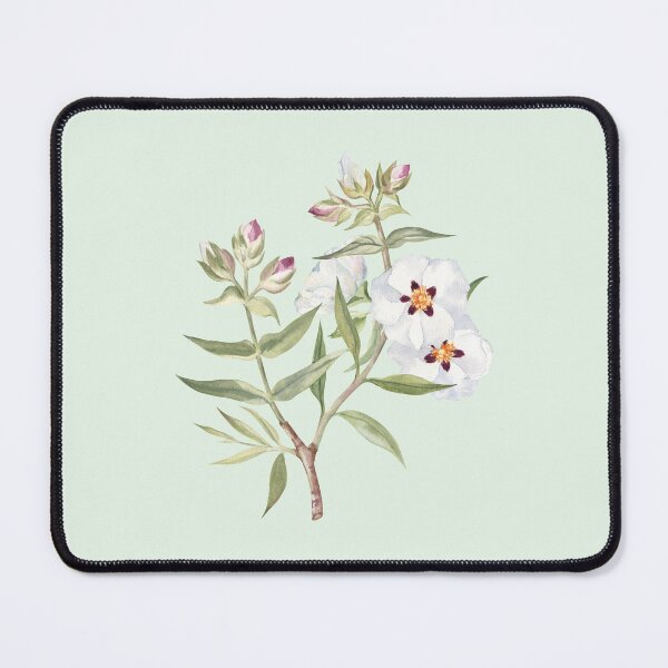 Item preview, Rockrose Watercolor Painting designed and sold by Flowersforbear.