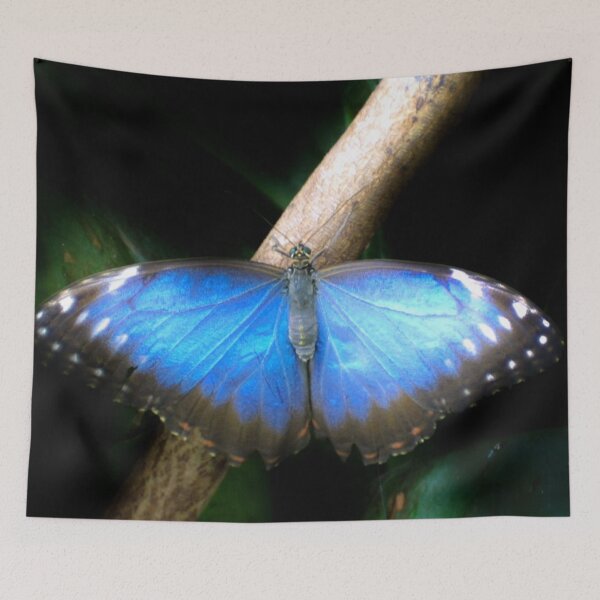 Item preview, Blue Morpho designed and sold by missmoneypenny.