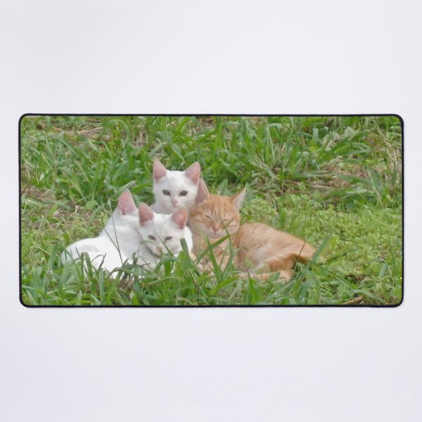 Item preview, Cuddly kittens designed and sold by missmoneypenny.