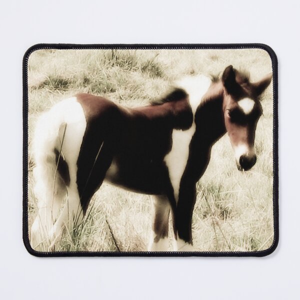 Item preview, Pretty paint designed and sold by missmoneypenny.