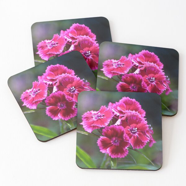 Item preview, The sweetest sweet William designed and sold by missmoneypenny.