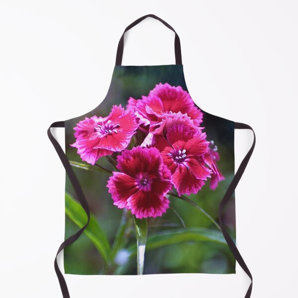 Item preview, The sweetest sweet William designed and sold by missmoneypenny.