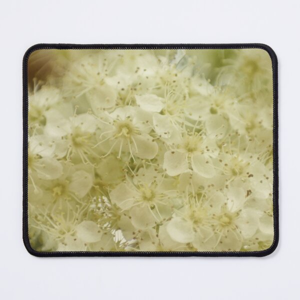Item preview, Mountain ash blossom designed and sold by missmoneypenny.