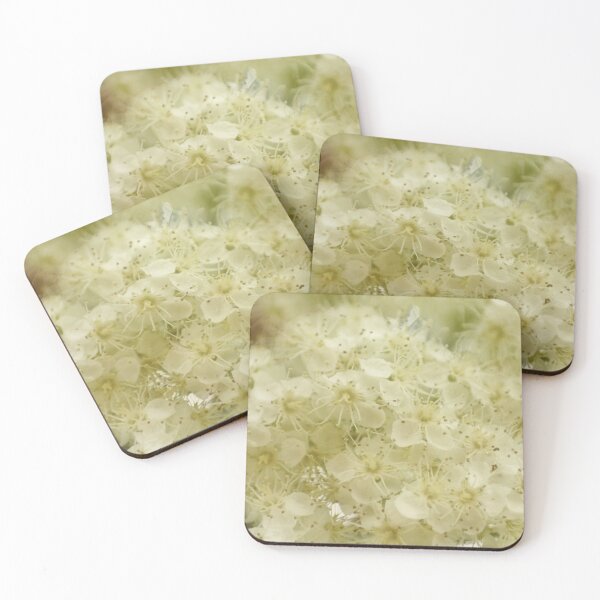 Item preview, Mountain ash blossom designed and sold by missmoneypenny.