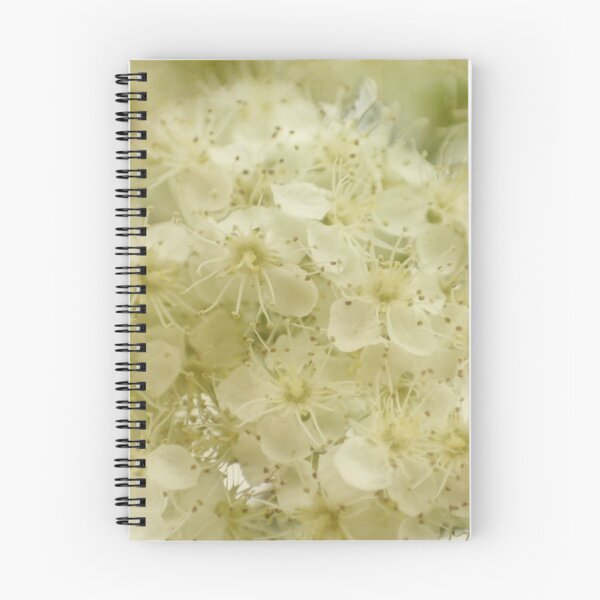 Item preview, Mountain ash blossom designed and sold by missmoneypenny.