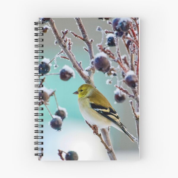 Item preview, Winter Goldfinch  designed and sold by Cblifeisgood.