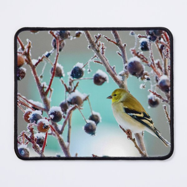 Item preview, Winter Goldfinch  designed and sold by Cblifeisgood.
