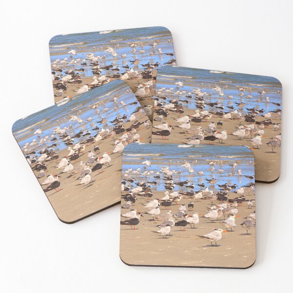 Item preview, Hilton Head Island Seagull Gathering designed and sold by LisaWootenPhoto.