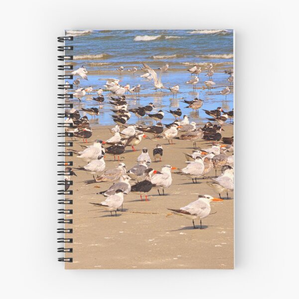 Item preview, Hilton Head Island Seagull Gathering designed and sold by LisaWootenPhoto.