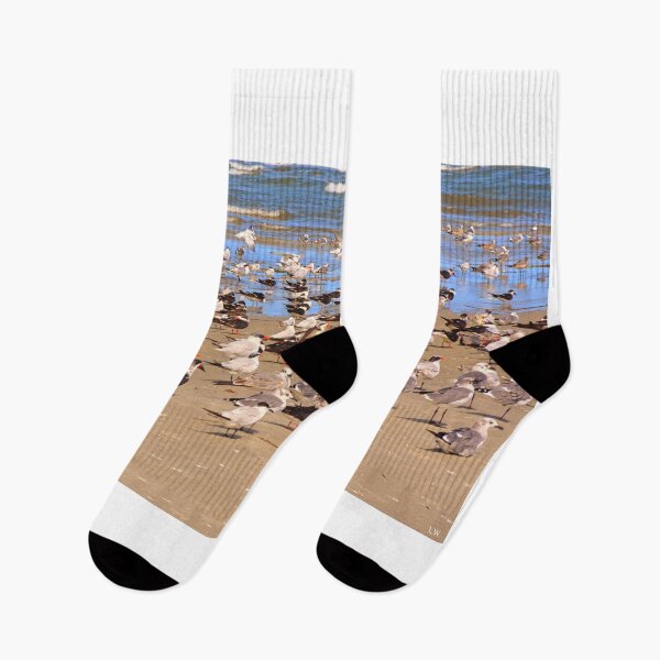Item preview, Hilton Head Island Seagull Gathering designed and sold by LisaWootenPhoto.