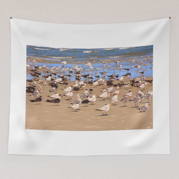 Item preview, Hilton Head Island Seagull Gathering designed and sold by LisaWootenPhoto.