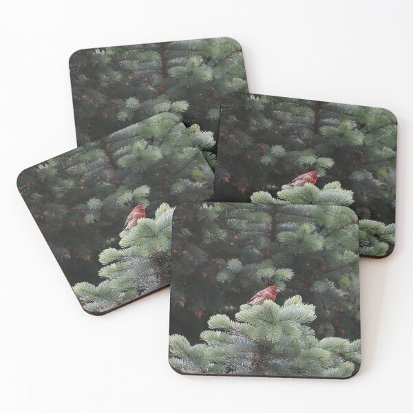 Item preview, House Finch in pine designed and sold by Cblifeisgood.