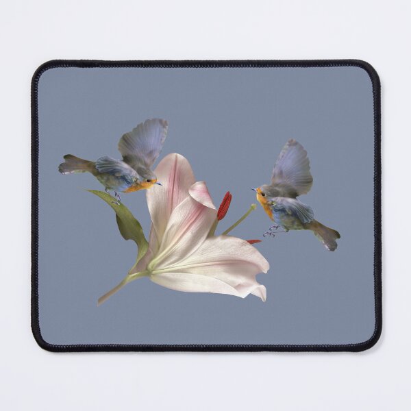 Item preview, Squabbling robins designed and sold by missmoneypenny.