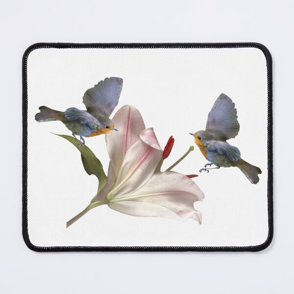 Item preview, Squabbling robins designed and sold by missmoneypenny.