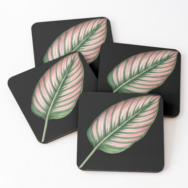 Item preview, Calathea Ornata Pink Stripe Leaf Botanical  designed and sold by VividOrganica.