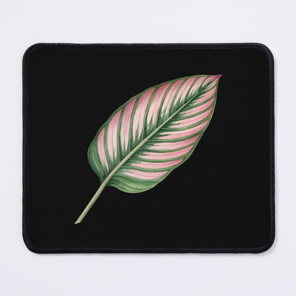 Item preview, Calathea Ornata Pink Stripe Leaf Botanical  designed and sold by VividOrganica.