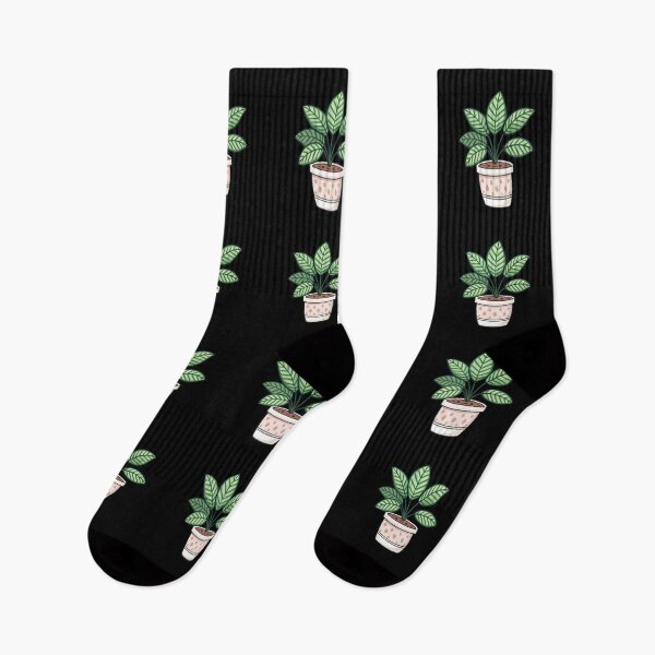 Item preview, Cute Calathea Plant in Pot Aesthetic  designed and sold by VividOrganica.