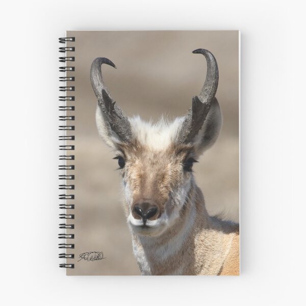 Item preview, North American Pronghorn designed and sold by TCW Studios.
