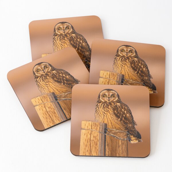 Item preview, Short-Eared Owl at Dawn designed and sold by Jarrett720.