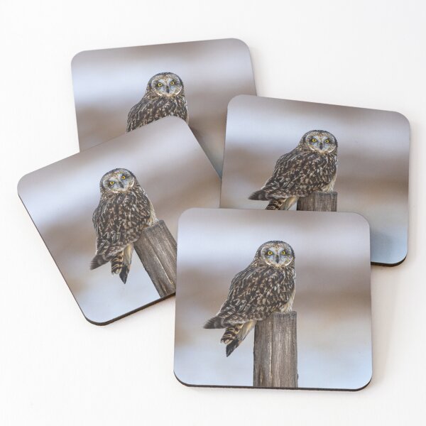 Item preview, Short-Eared Owl in Winter Light designed and sold by Jarrett720.