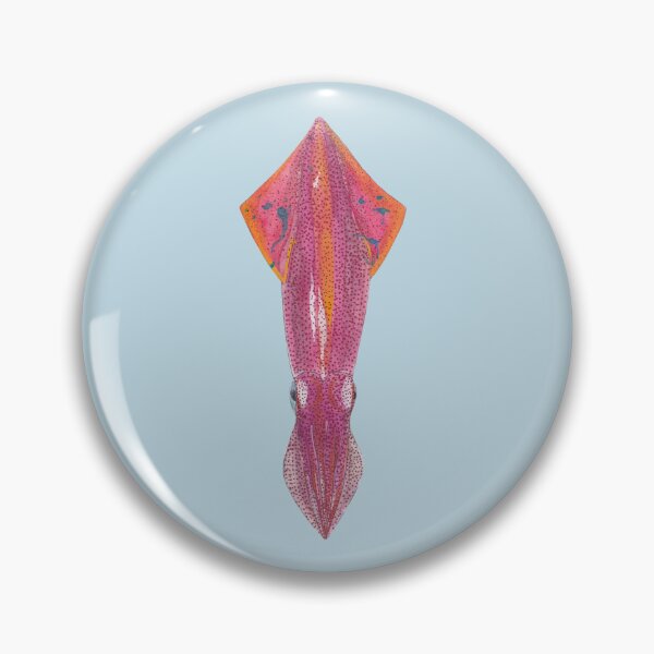Item preview, EUROPEAN/COMMON SQUID-Loligo vulgaris designed and sold by BEATRIZ ABAITUA.